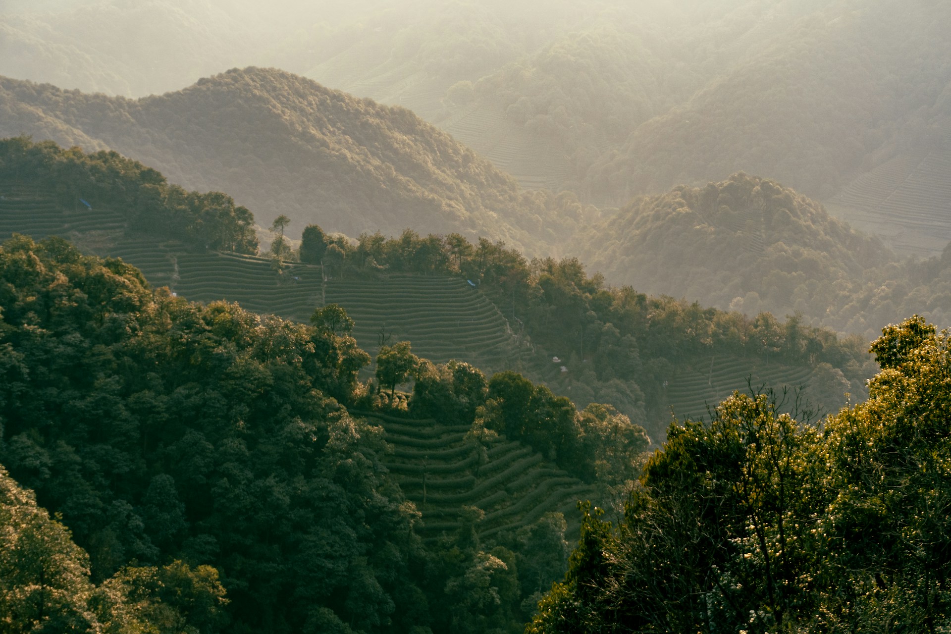 Hangzhou